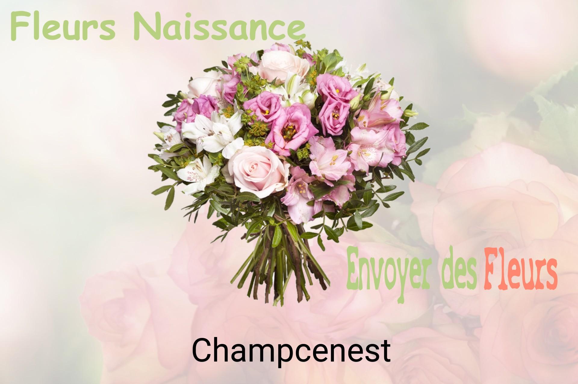 Bouquet de fleurs de naissance livré à Champcenest
