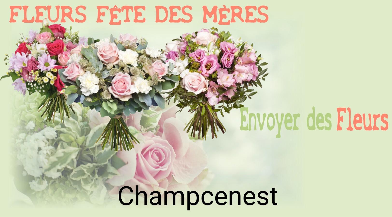 Bouquet de Fête des Mères livré à Champcenest